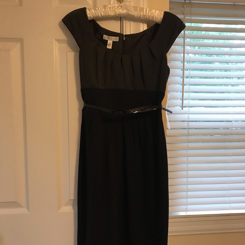 NWT London Times Cap-Sleeve Dress, Size 4